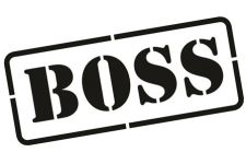 Logo for Boss 4WD Logo for Boss 4WD